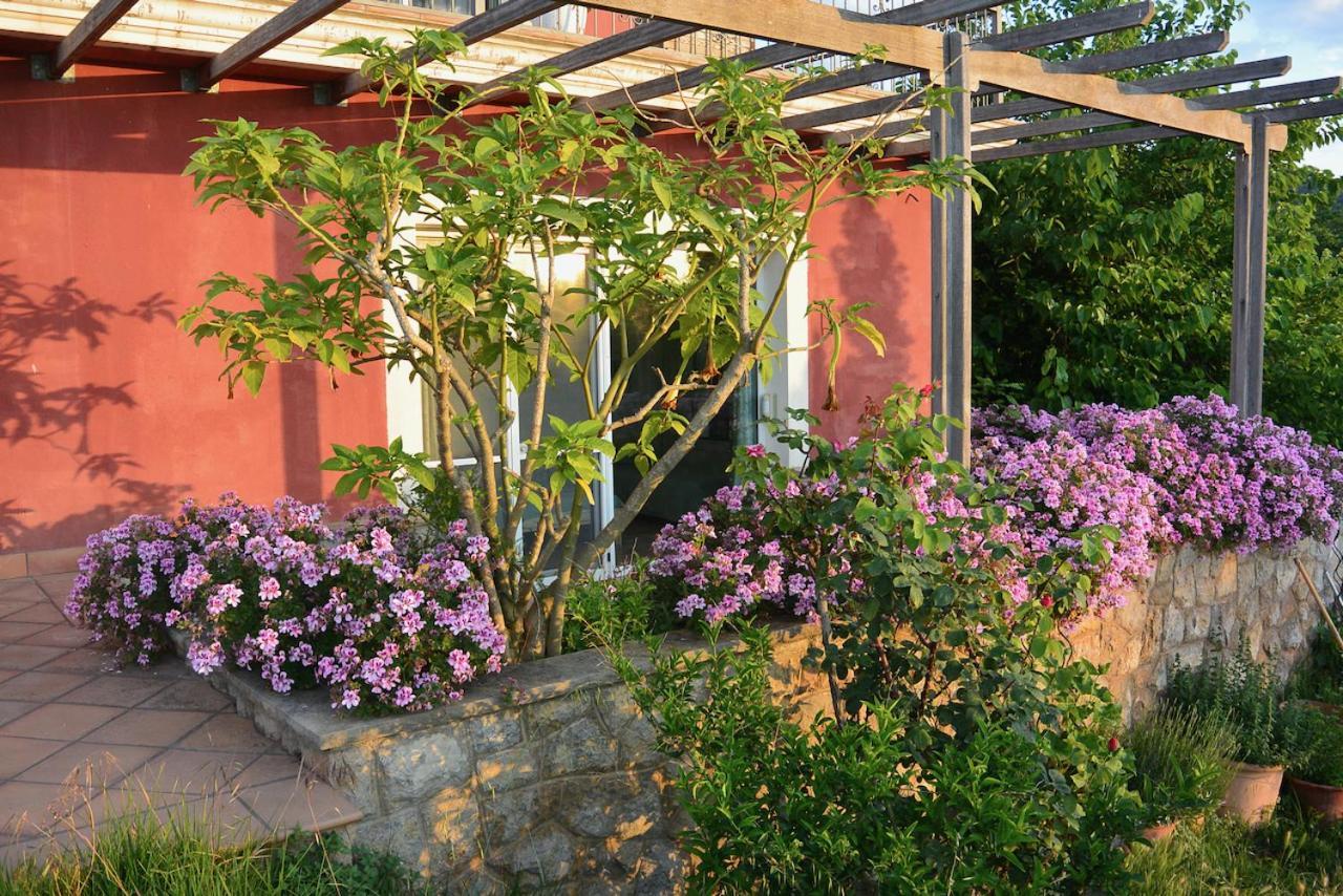 L'Albaida, Tranquility, Views Of Sea And Mountains Vilanova de Escornalbou Exterior foto