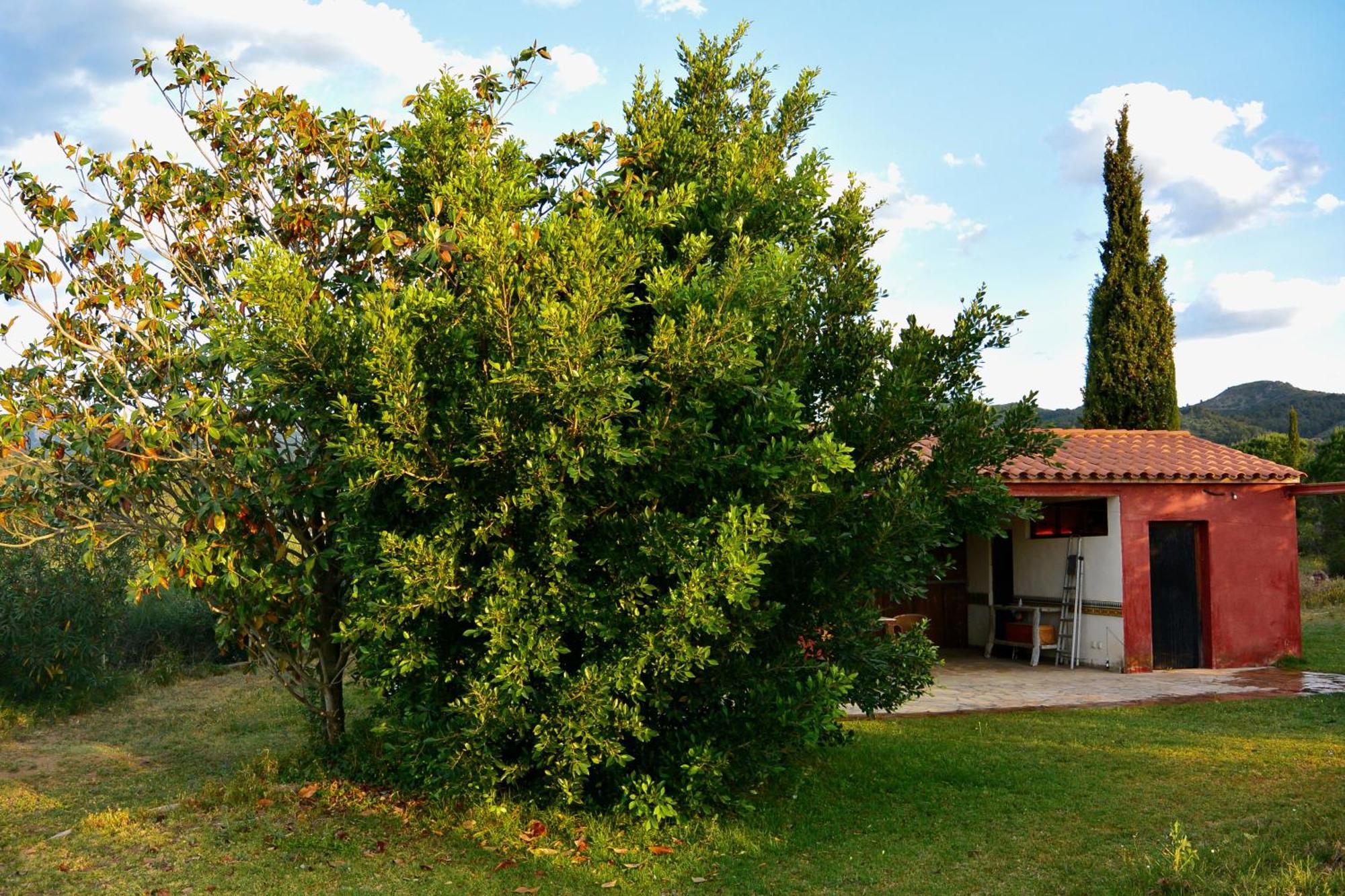 L'Albaida, Tranquility, Views Of Sea And Mountains Vilanova de Escornalbou Quarto foto