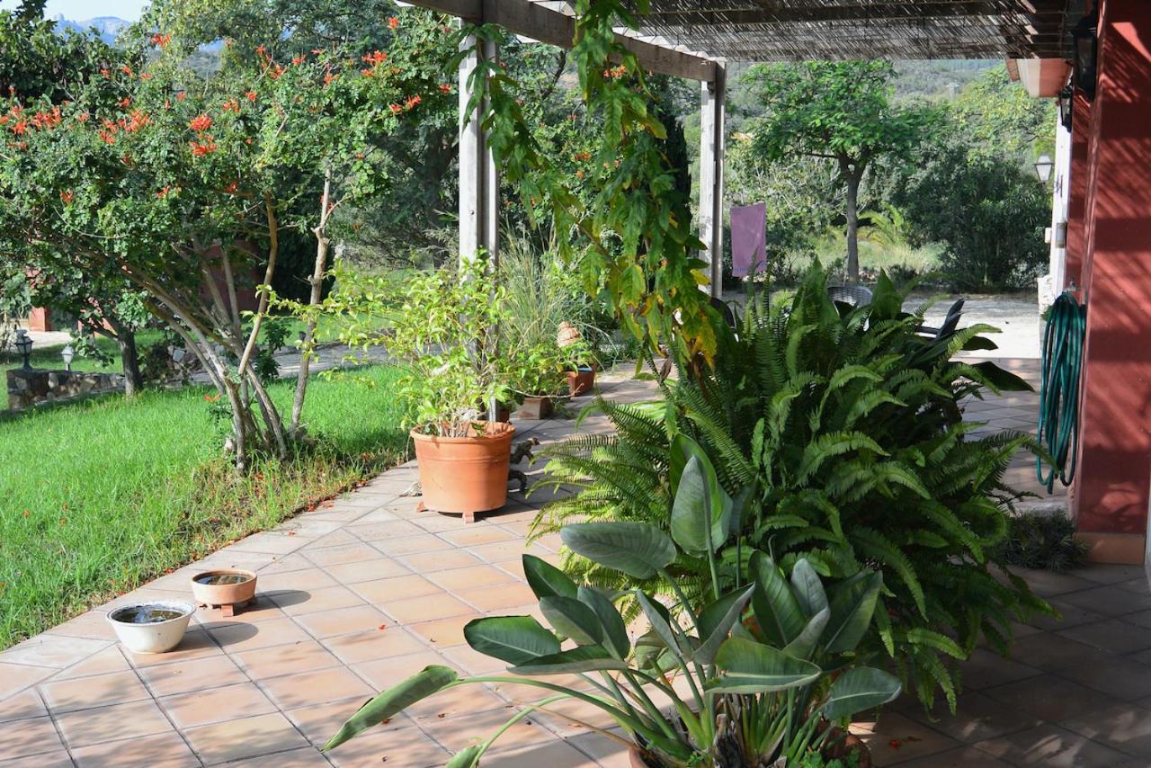 L'Albaida, Tranquility, Views Of Sea And Mountains Vilanova de Escornalbou Exterior foto