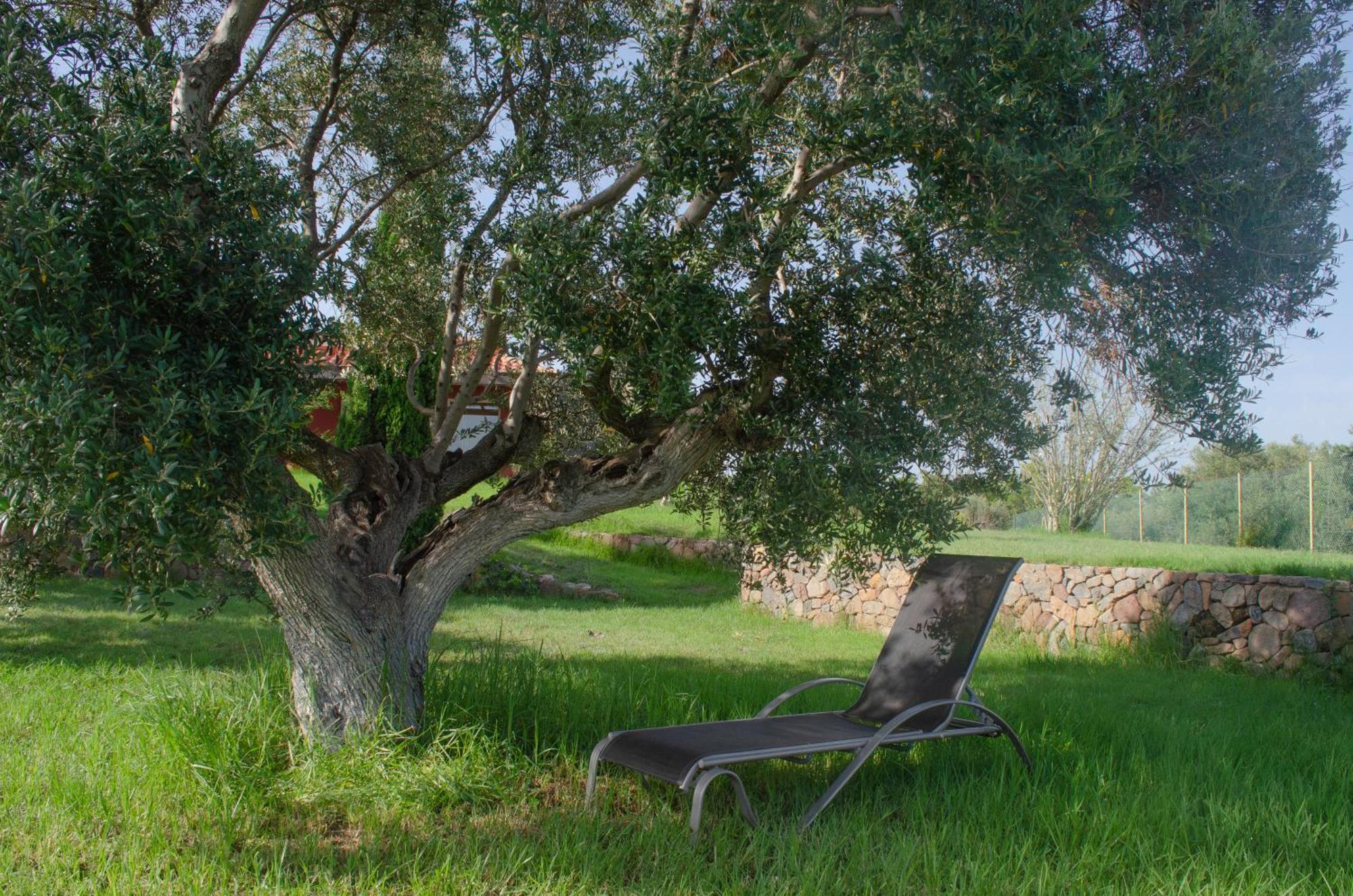 L'Albaida, Tranquility, Views Of Sea And Mountains Vilanova de Escornalbou Exterior foto